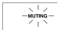 ONKYO HT-S5100 - Muting the AV Receiver - 2