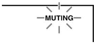 ONKYO HTX-22HD - Muting the HTX-22HD - 2