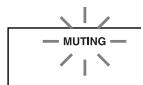 ONKYO SKF-330F - Muting the AV Receiver - 2