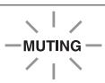 ONKYO SKR-570 - Muting the AV receiver - 2