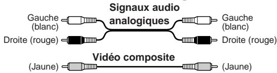 ONKYO TX-8555 - Code de couleurs des prises RCA pour appareils AV - 1