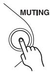 ONKYO CR-315DAB - Muting the Sound - 1