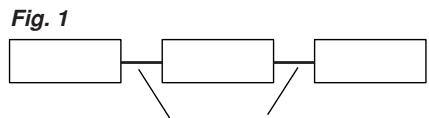 ONKYO RDV-1.1 - Connecting Several i.LINK Components - 1