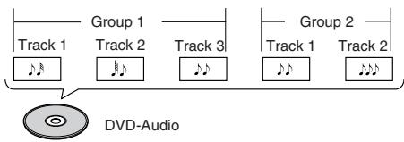ONKYO RDV-1.1 - DVD-Audio - 1