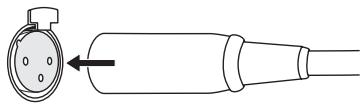 ONKYO M-5000R - Plugging the XLR cable - 1