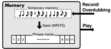 BOSS RC-2 - About Memory - 1