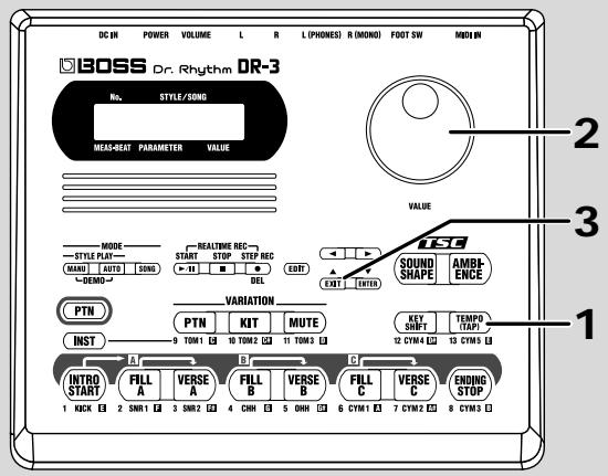 BOSS DR-3 - Adjusting the Tempo ([TEMPO]) - 1