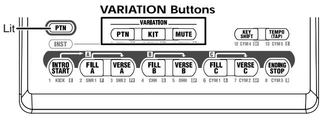 BOSS DR-3 - Selecting Variations (VARIATION) - 1