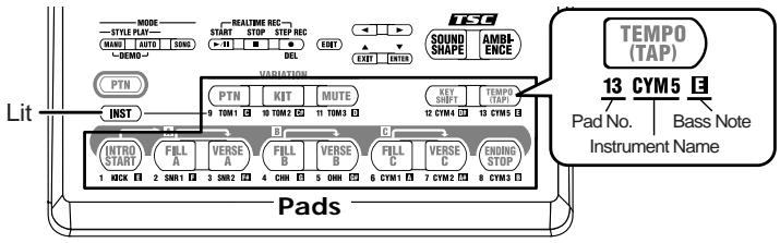 BOSS DR-3 - Chapter 6 Performing with the Pads - 1
