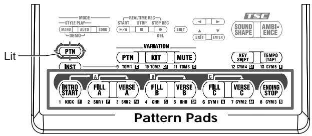 BOSS DR-3 - Specifying Patterns with the Pads ([PM] is Lit) - 1