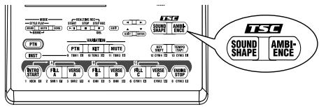 BOSS DR-3 - Chapter 5 Changing the Overall Tone of the Sound and Acoustics (TSC) - 1