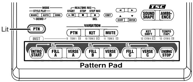 BOSS DR-3 - How the Pads Work When Performing Styles - 1