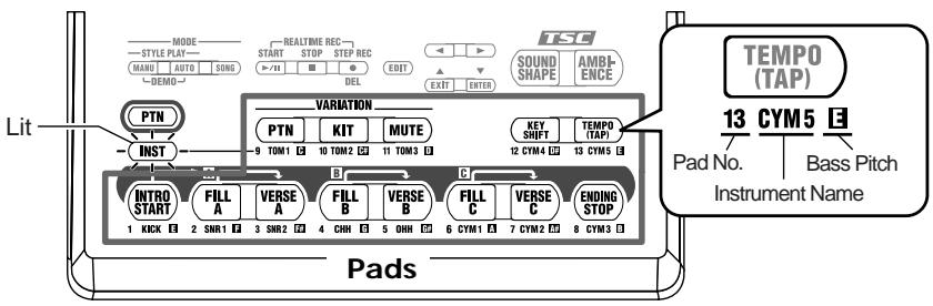 BOSS DR-3 - Playing Instruments (Instrument Sounds) with the Pads ([INST] is Lit) - 1