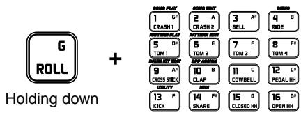 BOSS DR-670 - Playing Rolls - 1