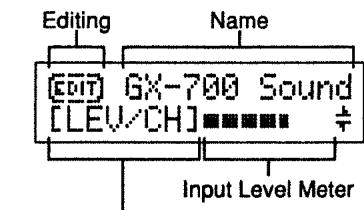 BOSS GX-700 - < When (PLAY) Is Pressed to Access the Play Page > - 1
