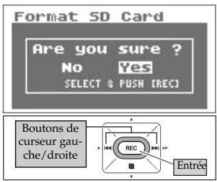 BOSS R-09 - Sélectionnez "yes". - 1