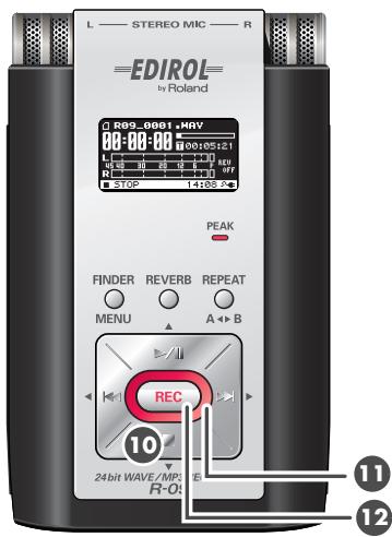 BOSS R-09 - Bouton FWD (▶) - 1