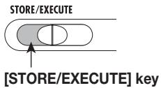 ZOOM PFX-9003 - Turn power to the PFX-9003 on while holding down the [STORE/ EXECUTE] key. - 1
