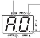 ZOOM 707II - Panel Display in Play Mode - 2