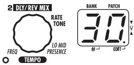 ZOOM A2 - Turn parameter knob 2 to set the feedback frequency, using the setting range from 1 - 30. - 1