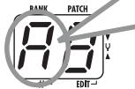 ZOOM A2 - Play the string to tune - 1