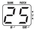 ZOOM A2 - Adjust the rhythm volume - 1