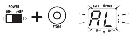 ZOOM A2 - Turn the A2 on while holding down the [STORE] key. - 1