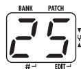 ZOOM A2.1U - Adjust the rhythm volume - 1