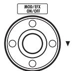ZOOM A2.1U - Press the [MANUAL] key. - 2