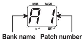 ZOOM B2 - Set the B2 to play mode - 1