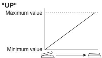 ZOOM B2 - HINT - 1
