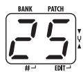 ZOOM B2 - Adjust the rhythm volume - 1