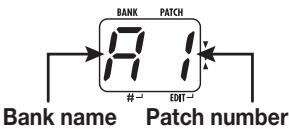 ZOOM B2.1U - Set the B2.1u to play mode - 1