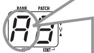 ZOOM B2.1U - Play the string to tune - 1