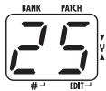 ZOOM B2.1U - Adjust the rhythm volume - 1