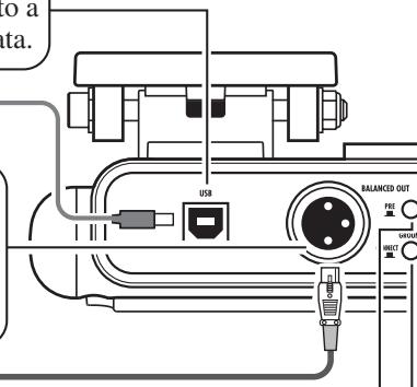 ZOOM B2.1U - [USB] connector - 1