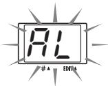 ZOOM FIRE-30 - Hold down the [STORE] key while turning power to the unit on. - 1