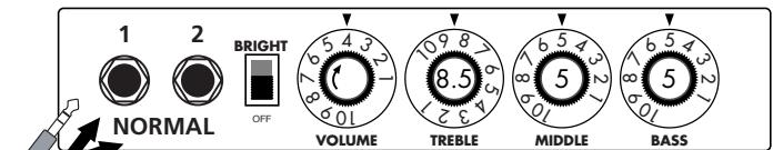 ZOOM G2.1U - Fender Twin Reverb - 1