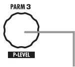 ZOOM G2NU - Change the patch name - 6