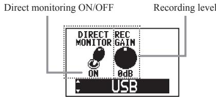 ZOOM G2NU - Set the direct monitoring and recording levels - 1