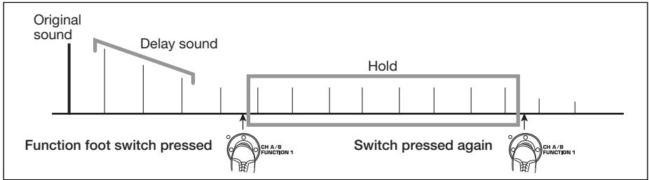 ZOOM G9.2TT - Hold Delay - 1