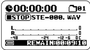 ZOOM H2 - Press (REC) key to stop recording - 2