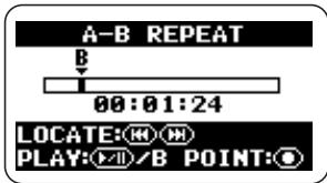 ZOOM H2 - Specify point A. - 1