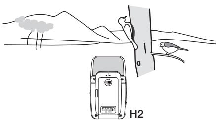 ZOOM H2 - Field recording - 1