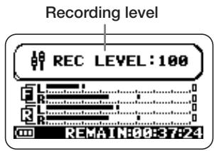 ZOOM H2 - Adjust the recording level. - 1
