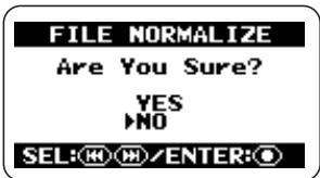 ZOOM H2 - Bring up the FILE NORMALIZE screen. - 1