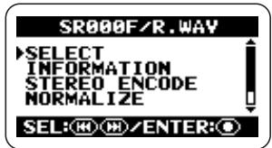 ZOOM H2 - Select the file pair for conversion to a stereo WAV file. - 1