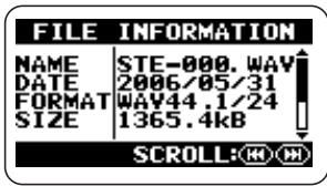 ZOOM H2 - Bring up the FILE INFORMATION screen. - 1