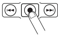 ZOOM H2 - Press (REC) key to stop recording - 1