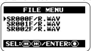 ZOOM H2 - Bring up the FILE MENU screen. - 2